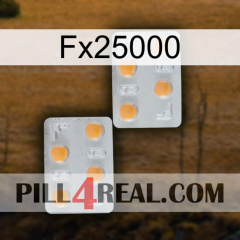 Fx25000 25